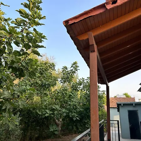 Miari Living - Corfu Vila Perivólion